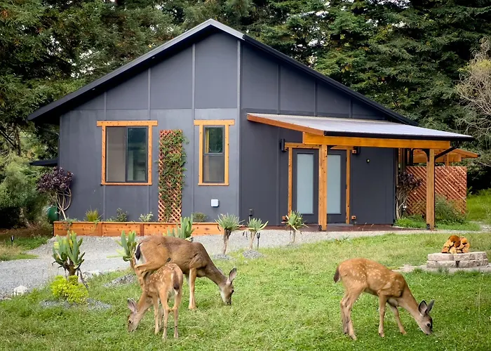 New, Modern, Country-Feel, Close To Arcata