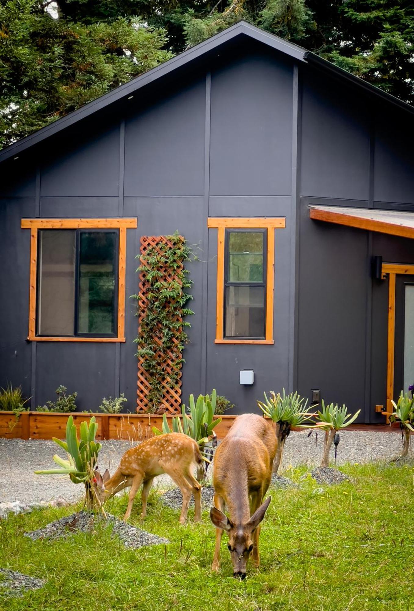 New, Modern, Country-feel, Close To