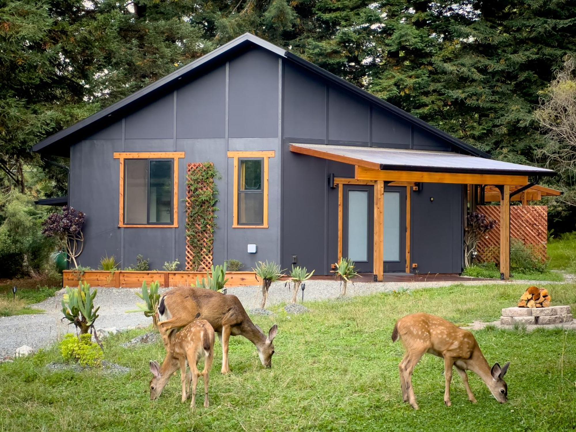 New, Modern, Country-feel, Close To Apartment *